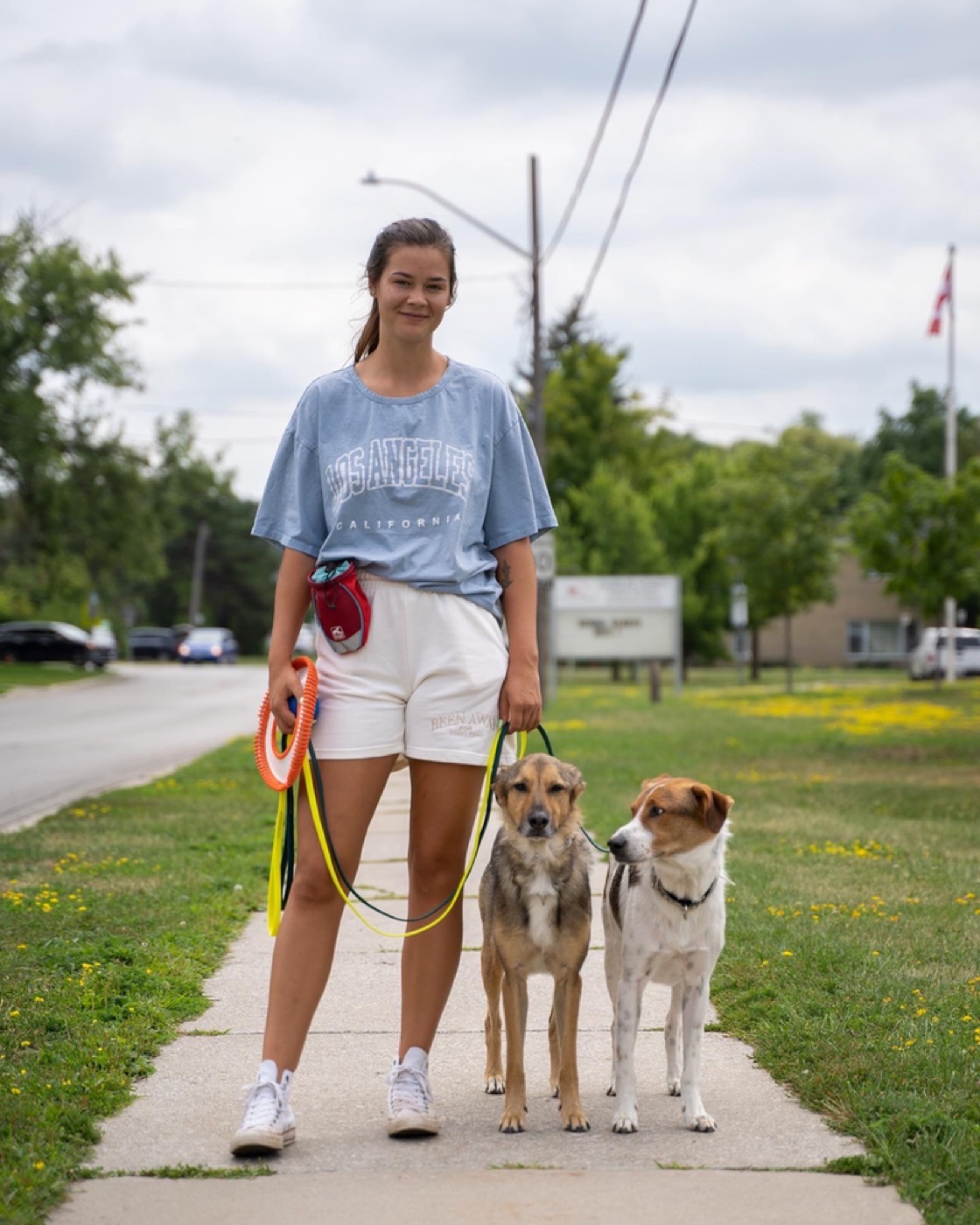 Finding Balance, one dog at a time