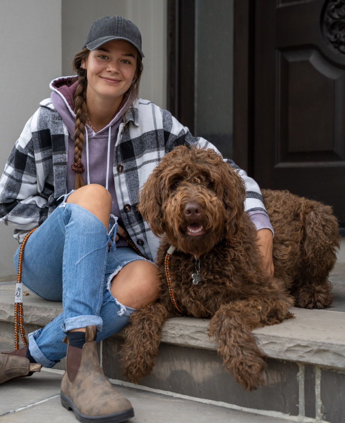 What is the 3-3-3 rule for dogs?