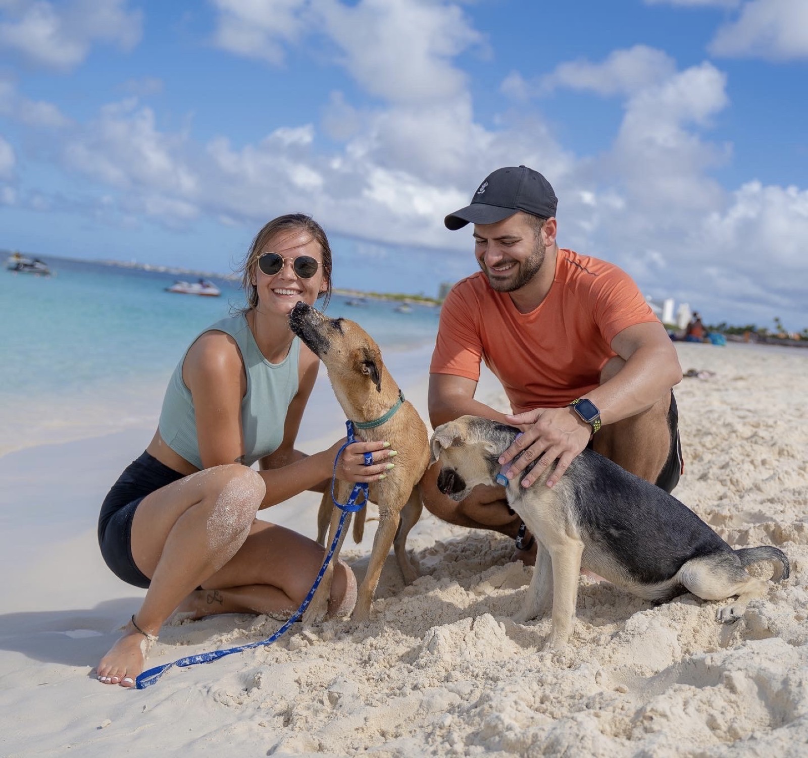 Hope's Haven rescue dogs on the beach