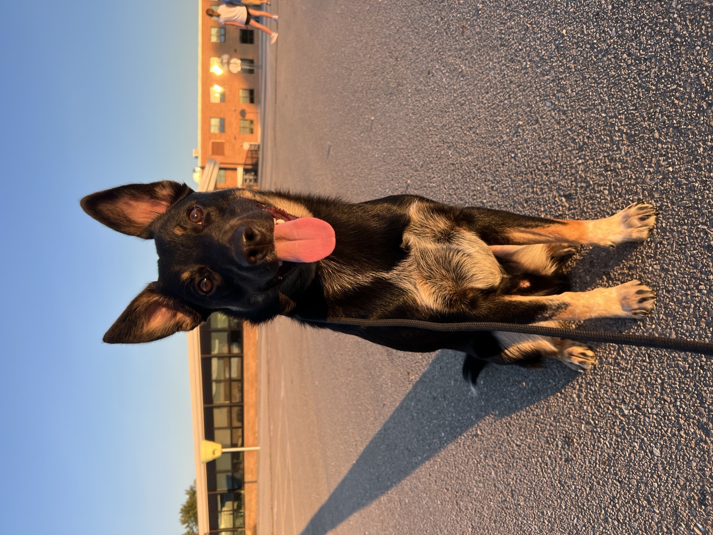 Archie