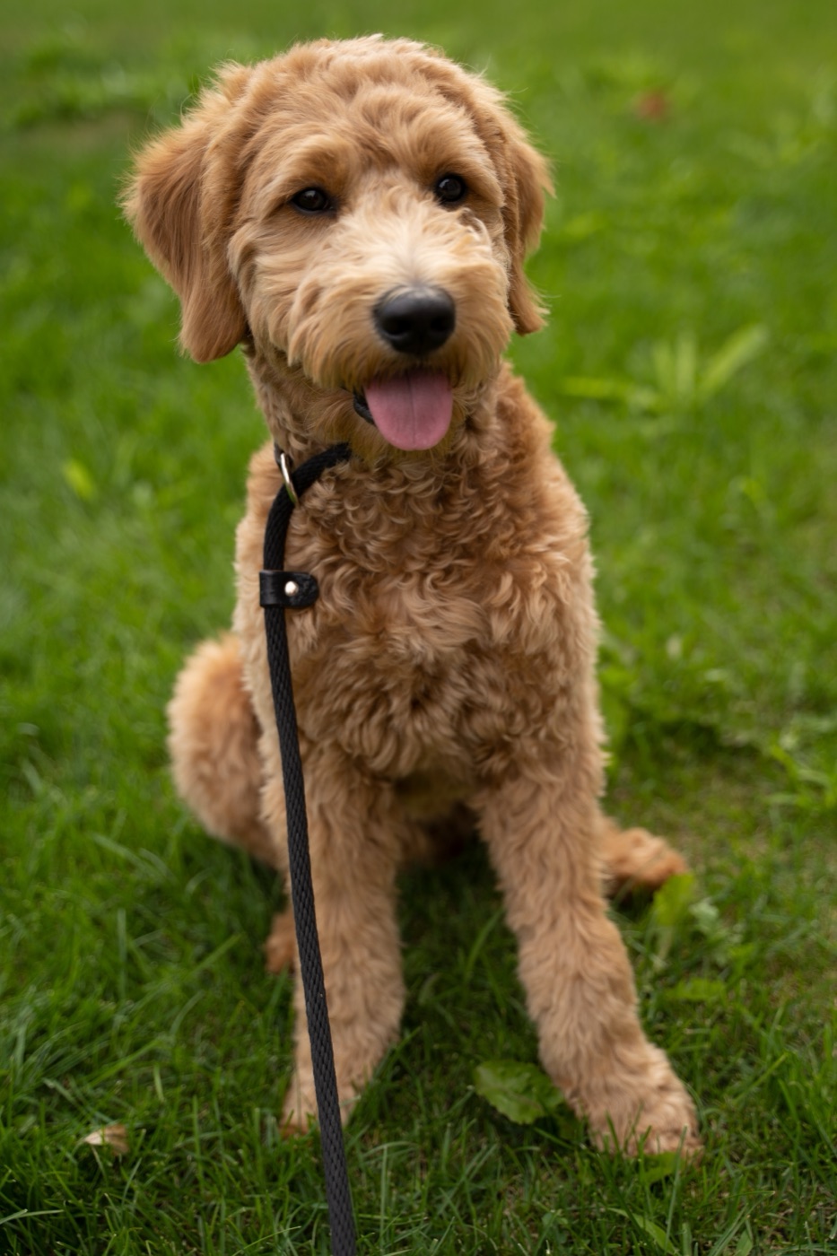 Charlie